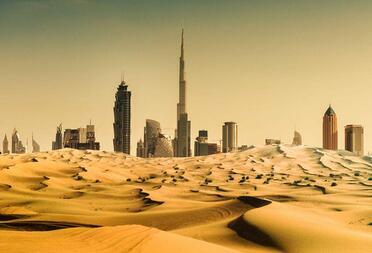 沙特颁发首个D类旅行社许可证