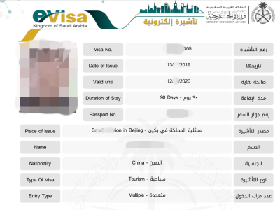沙特电子签证顺利出签